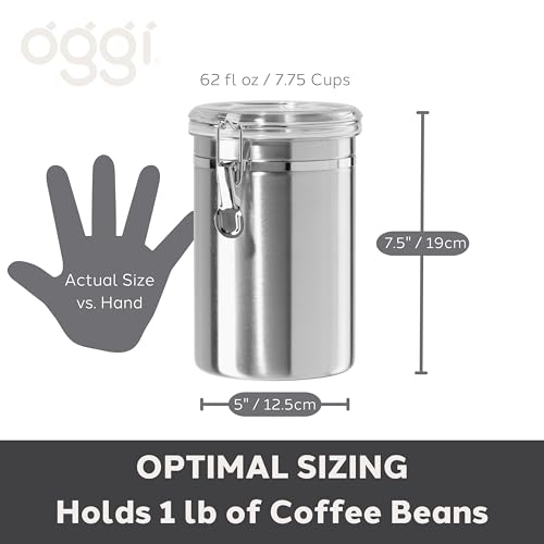 Stainless Steel Kitchen Canister 62 fl oz