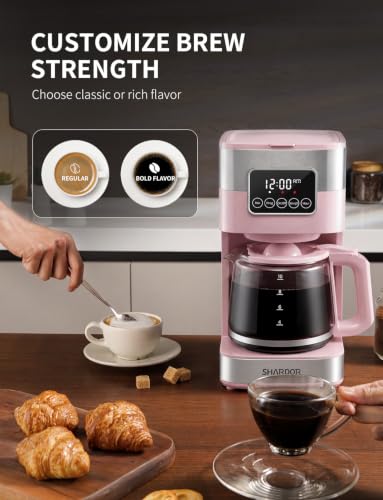 10 Cup Programmable Coffee Maker