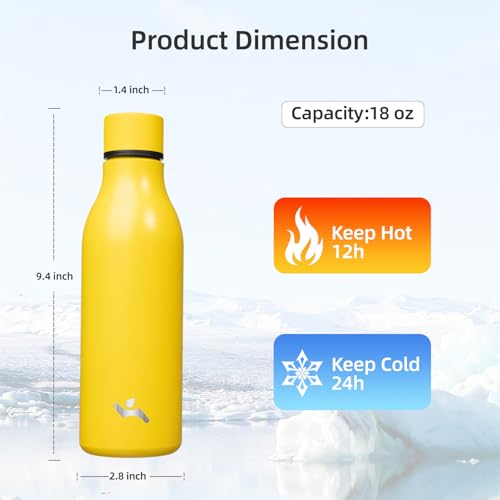 18 oz Insulated Stainless Steel Metal Water Bottle with Strap