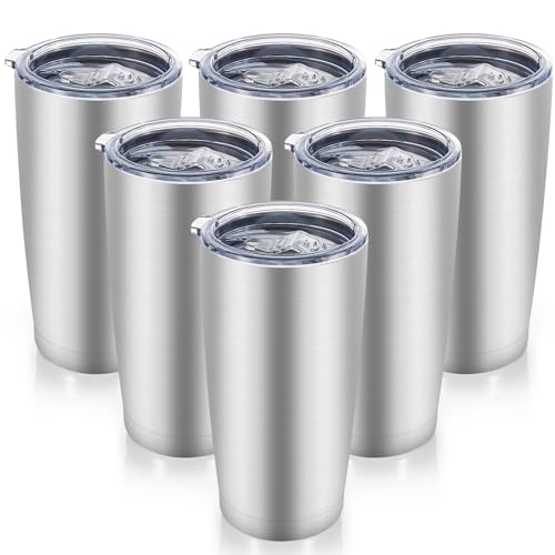 20 oz Tumblers Bulk Stainless Steel Tumbler with Lid (6 Count)