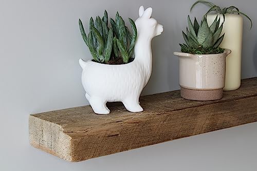 Reclaimed Barnwood Planks (2 Count)