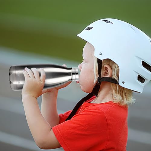 Insulated Water Bottle (2 Count)