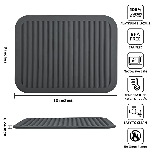 Silicone Trivets for Hot Dishes (2 Count)