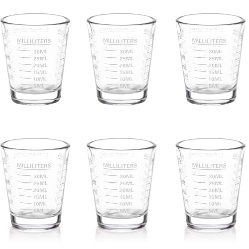 Shot Glass Measuring Cup Set (6 Count)