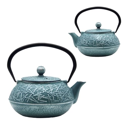 Cast Iron Tea Kettle