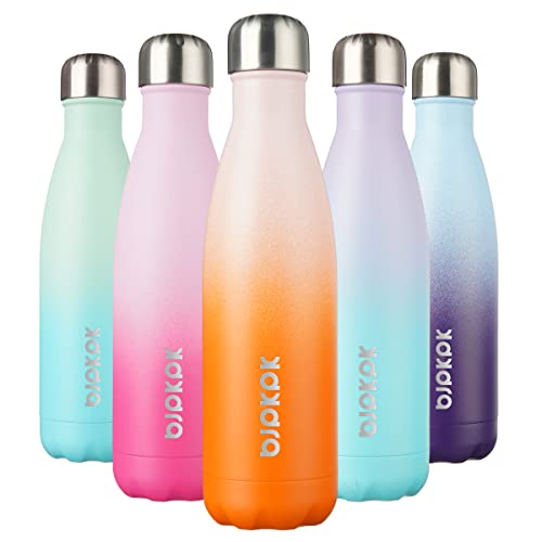 17 oz Insulated Water Bottle