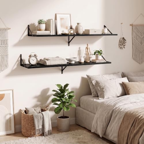 Wall Mounted Floating Shelves Set of 2 (2 Count)
