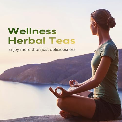 Lemon Balm Tea Bags (100 Count)