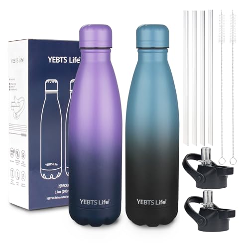 Insulated Water Bottle (2 Count)