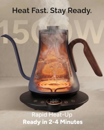 Gooseneck Electric Kettle