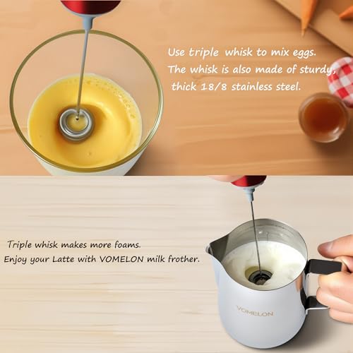 Milk Frother Handheld