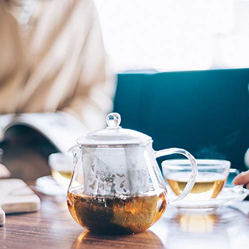 Leaf Tea Pot with Stainless Steel Filter