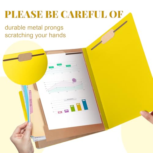 12 Pcs Skyygemm Classification Folder Letter Size (12 Count)