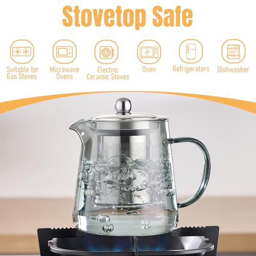 Clear Teapot Glass Kettle with Infuser