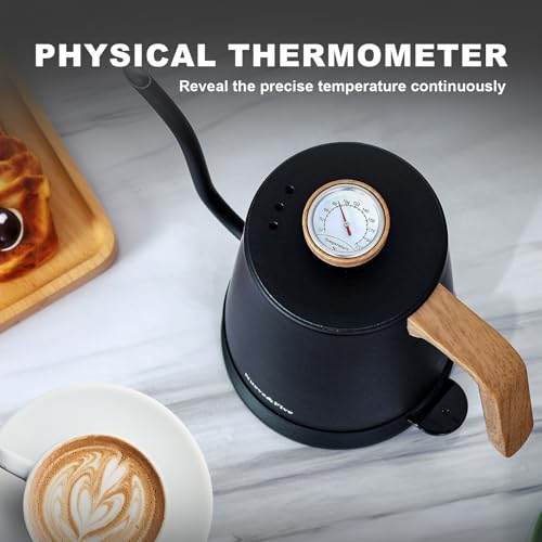 Electric Gooseneck Kettle with Thermometer