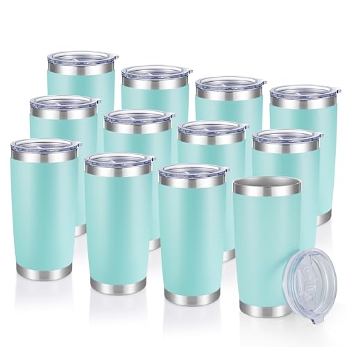 20 oz Tumblers Bulk Stainless Steel Tumbler with Lid (12 Count)