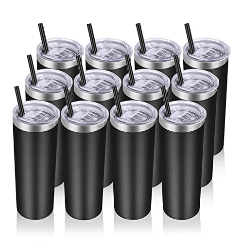 Stainless Steel Tumblers Bulk 12 Pack (12 Count)