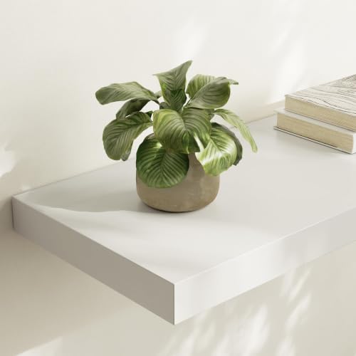 Floating Shelf (3 Count)