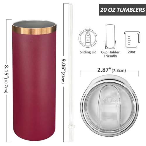 20 oz Skinny Tumblers Bulk with Lids and Straws Mixed (4 Count)