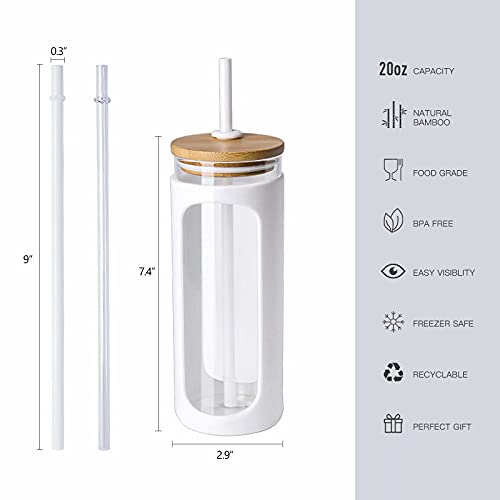 20oz Glass Water Tumbler with Straw and Lid