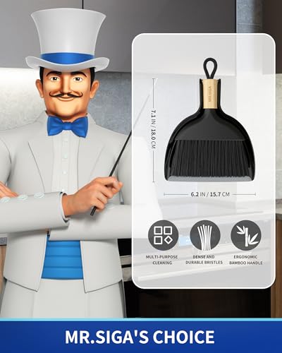 Mini Dustpan and Brush Set