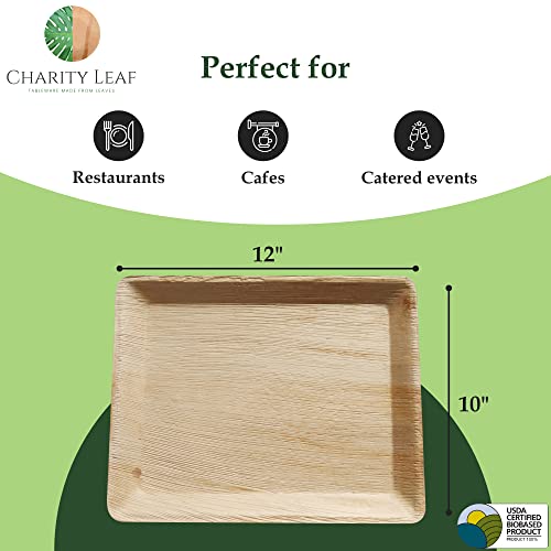 Disposable Bamboo 12" x 10" Trays (25 Count)