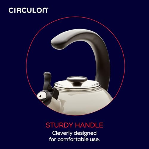 Enamel on Steel Whistling Induction Teakettle
