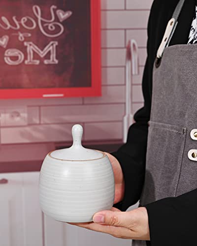 Kitchen Canisters Ceramic Storage Jar with Silicone Airtight Lid White