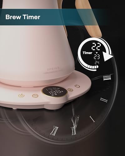 Gooseneck Electric Kettle with ±1℉ Temperature Control 0.9 Liter