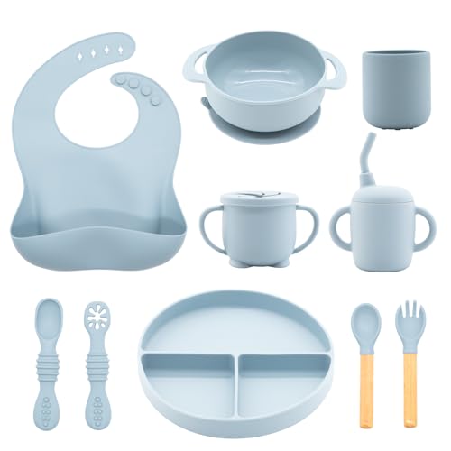 Silicone Baby Feeding Set 10 Pcs (10 Count)