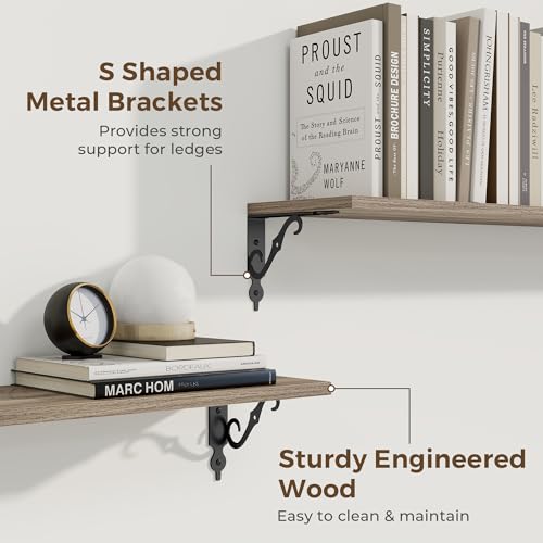 Floating Shelves for Wall Decor (2 Count)