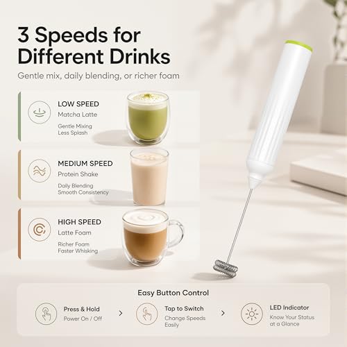 Milk Frother Handheld with 3 Stainless Steel Whisks