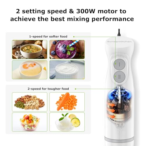 Hand Blender 2