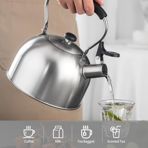 Whistling Tea Kettle