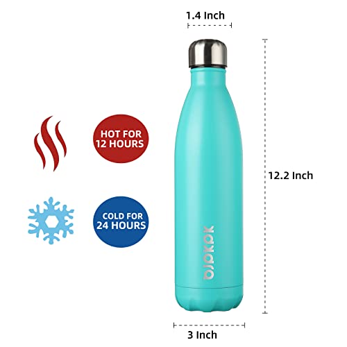 25 oz Insulated Water Bottle