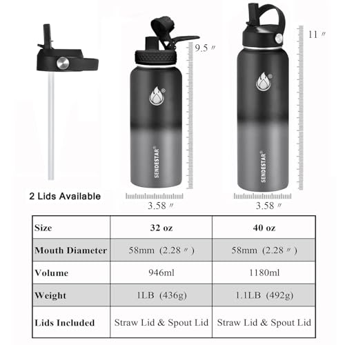 Insulated Water Bottle 32 oz with Straw