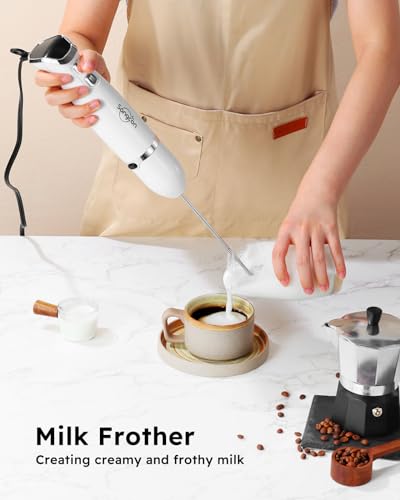 Immersion Blender Handheld