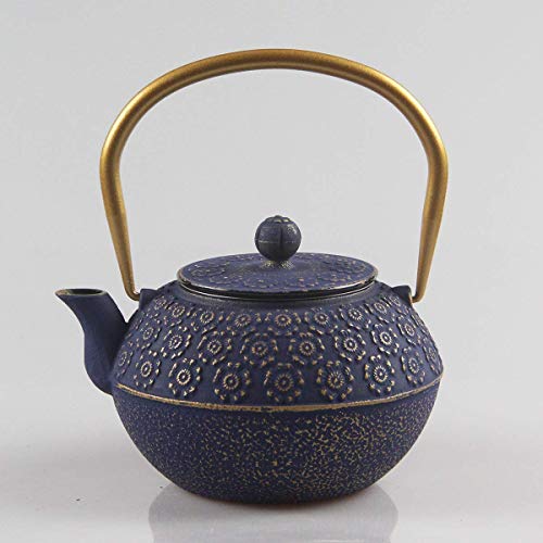 Teapot Cast Iron Tea Kettle for Stovetop Safe Coated with Enameled Interior