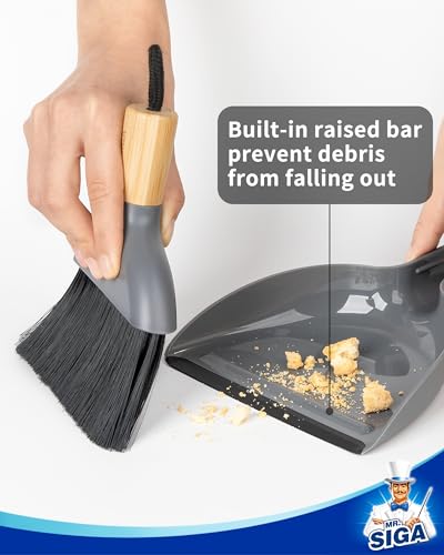 Mini Dustpan and Brush Set