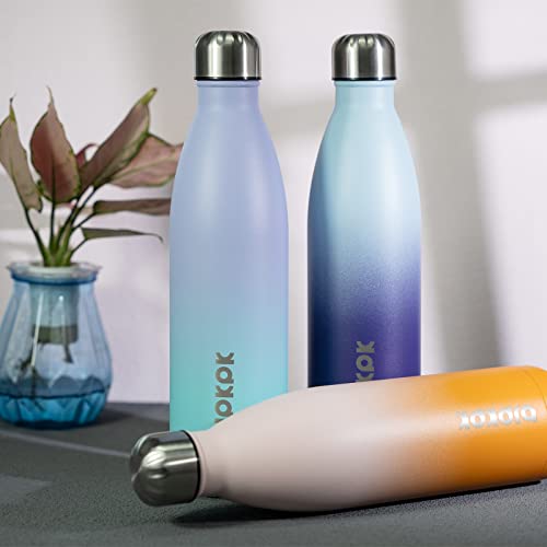 25 oz Insulated Water Bottle