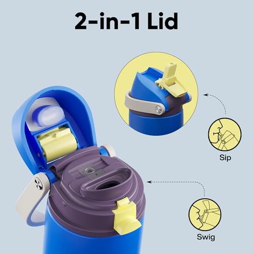 Insulated Water Bottle with Straw