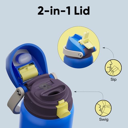Insulated Water Bottle with Straw