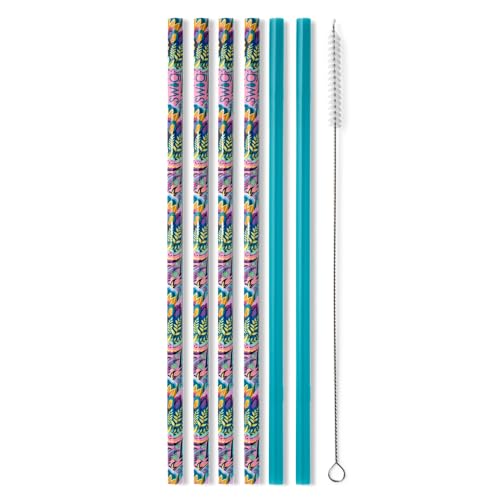 Reusable Straw Set with Cleaning Brush (6 Count)