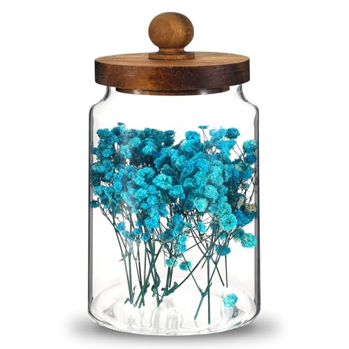Glass Spice Jar Coffee Sugar Container Airtight Glass Jar Food Storage Canisters Bottle for Kitchen Seasoning Tea Herb Overnight Oats Bar Parfait Snacks