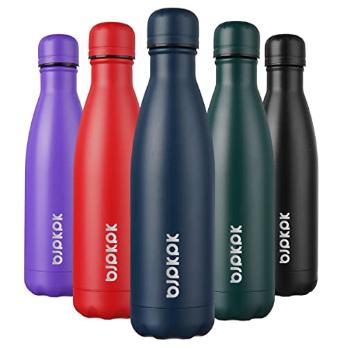 17 oz Insulated Water Bottle