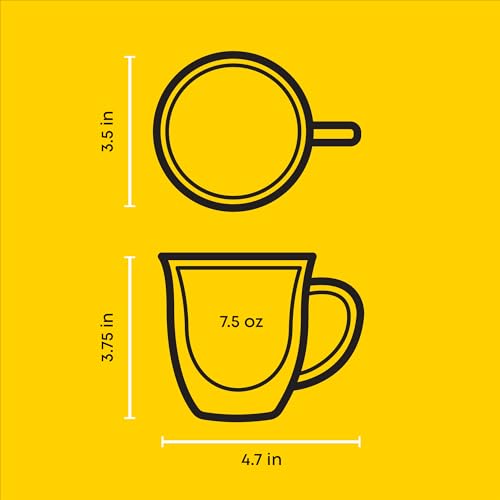 Serene Double Walled Insulated Glasses Coffee Mug (2 Count)