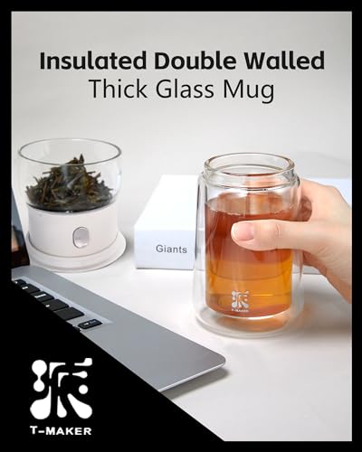 Modern Glass Infuser Pot