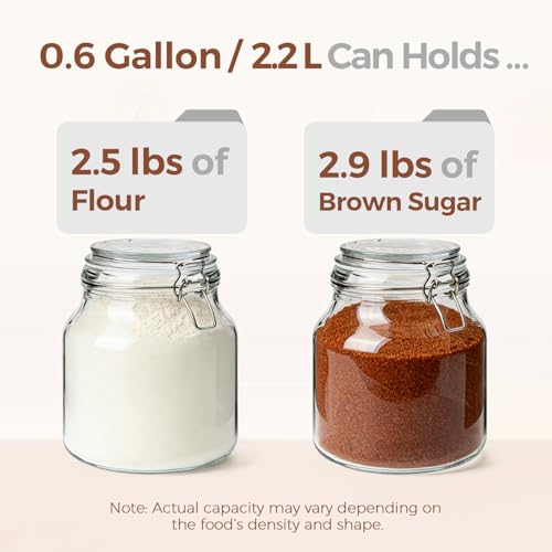 Large Glass Pantry Jars with Airtight Lids 74 oz 2 Pack Wide Mouth (2 Count)