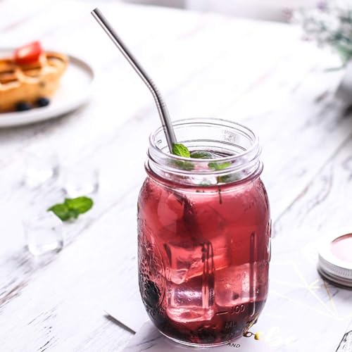 Set of 10 Stainless Steel Straws (10 Count)