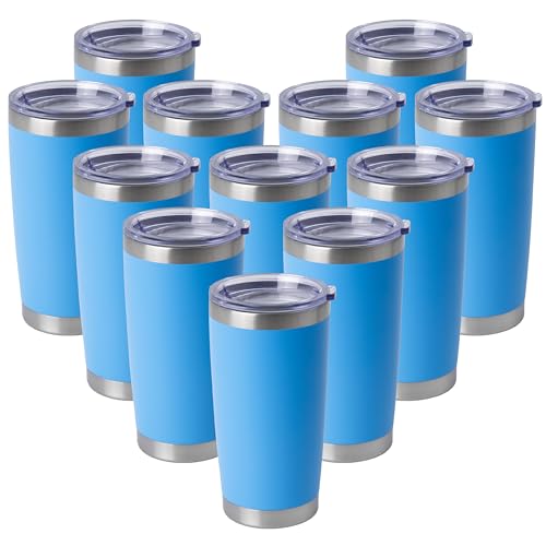 20oz Stainless Steel Tumblers Bulk (12 Count)